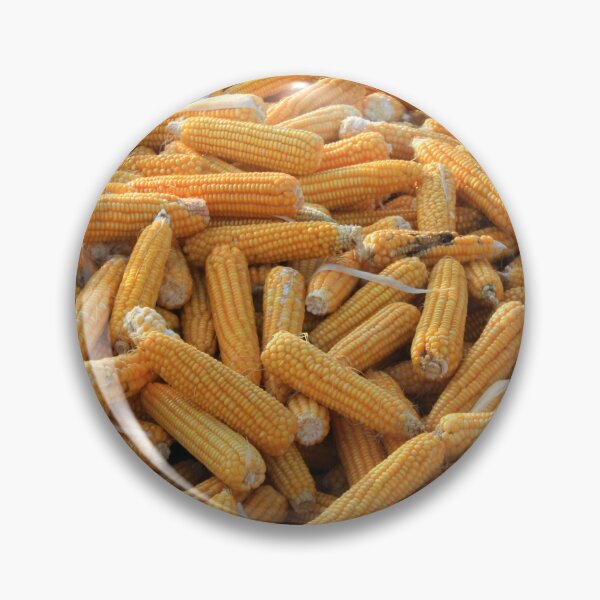 Item preview, Raw Organic Husked Sweetcorn Seed Drying In The Sun designed and sold by taiche.
