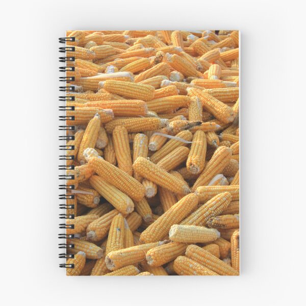 Item preview, Raw Organic Husked Sweetcorn Seed Drying In The Sun designed and sold by taiche.