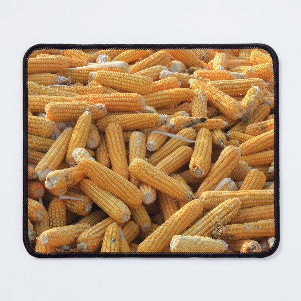 Item preview, Raw Organic Husked Sweetcorn Seed Drying In The Sun designed and sold by taiche.