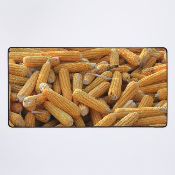 Item preview, Raw Organic Husked Sweetcorn Seed Drying In The Sun designed and sold by taiche.