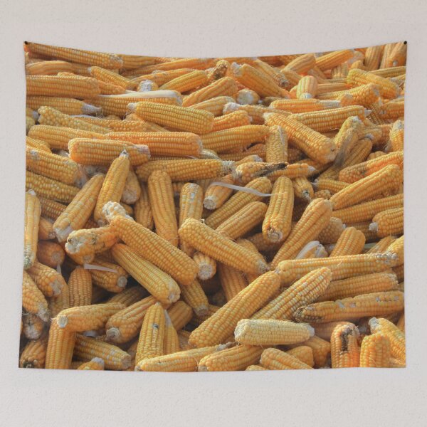 Item preview, Raw Organic Husked Sweetcorn Seed Drying In The Sun designed and sold by taiche.