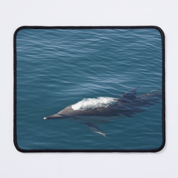Item preview, Dolphin, Bay Of Islands designed and sold by lezvee.
