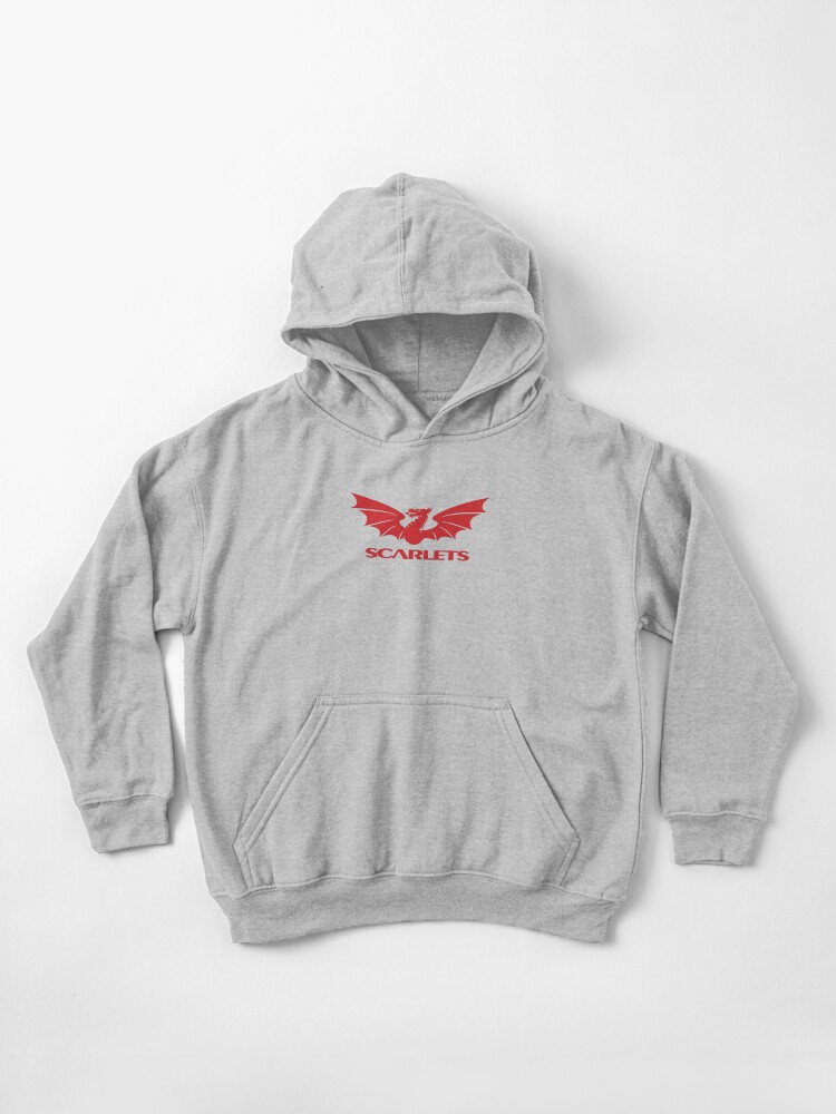 scarlets rugby Kids Pullover Hoodie for Sale by StinkPad Redbubble