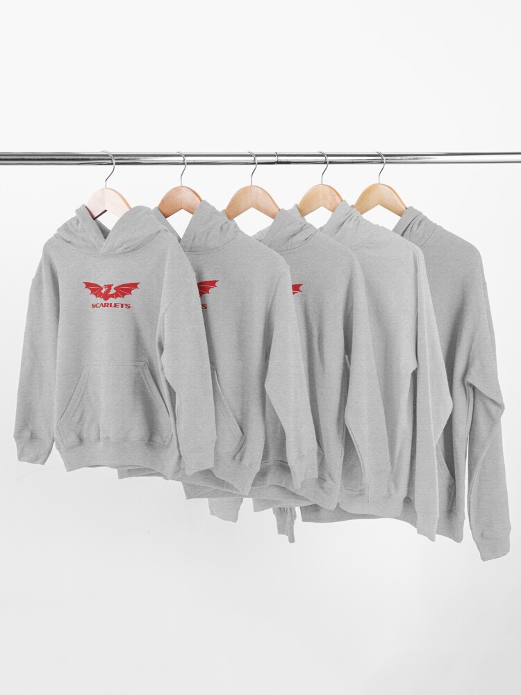 Scarlets rugby hoodie top
