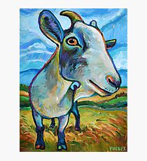 Goat Painting called Van Goat Photographic Print