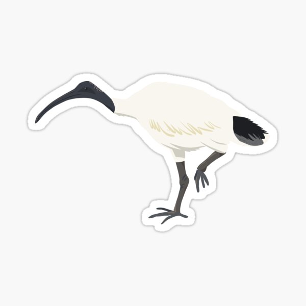 Item preview, Bin Chicken on the Move designed and sold by Geneva-Jostle.