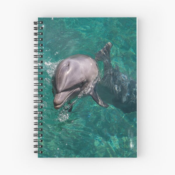 Item preview, The dolphin designed and sold by MikaDary.