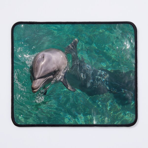 Item preview, The dolphin designed and sold by MikaDary.
