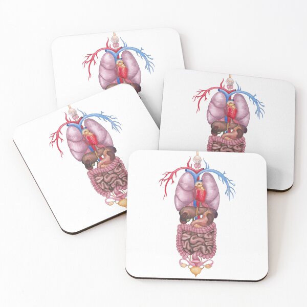 Item preview, Watercolor female internal organs and cardiovascular system designed and sold by Ekaterina Glazkova.