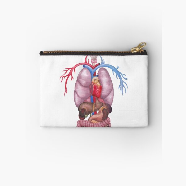 Item preview, Watercolor female internal organs and cardiovascular system designed and sold by Ekaterina Glazkova.