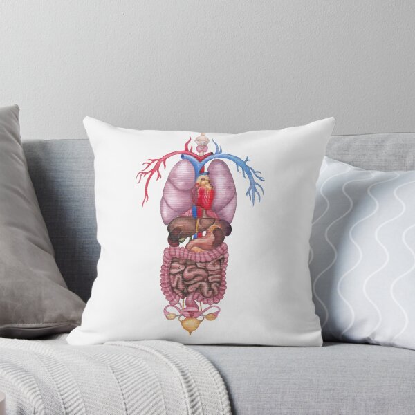 Item preview, Watercolor female internal organs and cardiovascular system designed and sold by Ekaterina Glazkova.