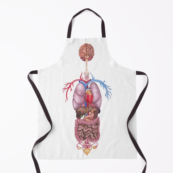 Item preview, Watercolor female internal organs and cardiovascular system designed and sold by Ekaterina Glazkova.