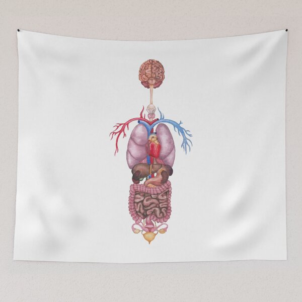 Item preview, Watercolor female internal organs and cardiovascular system designed and sold by Ekaterina Glazkova.