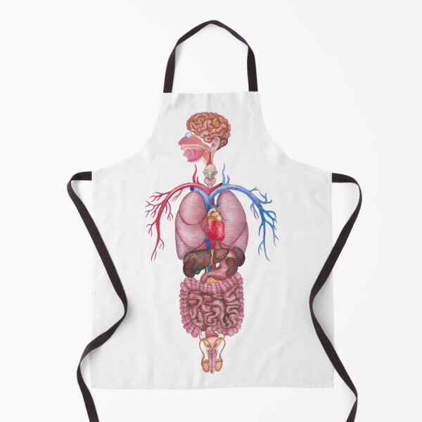 Item preview, Watercolor human internal organs and cardiovascular system designed and sold by Ekaterina Glazkova.