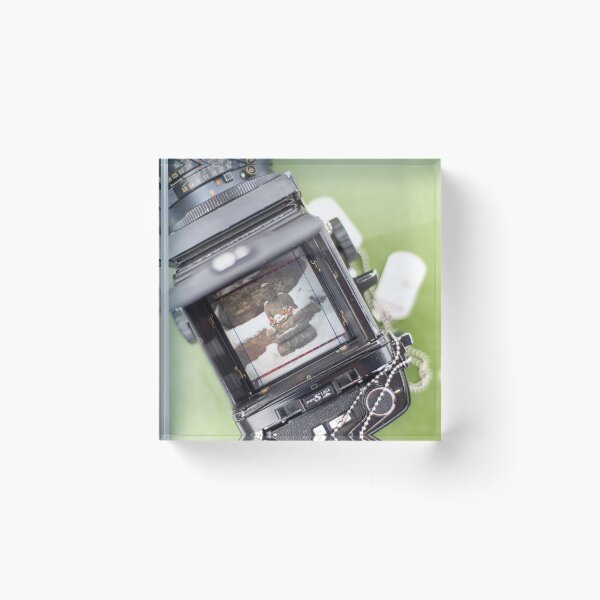 Item preview, Focus on Zen v3 designed and sold by Mengelphoto.