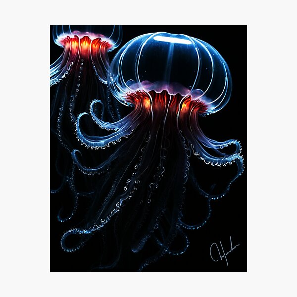 Item preview, Jellyfish 1 designed and sold by CristianMS.
