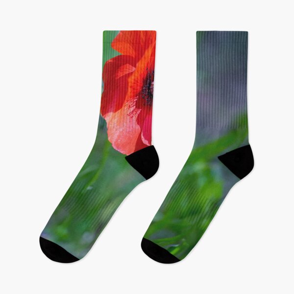 Item preview, Solitary Poppy designed and sold by Tom McPherson Photography.
