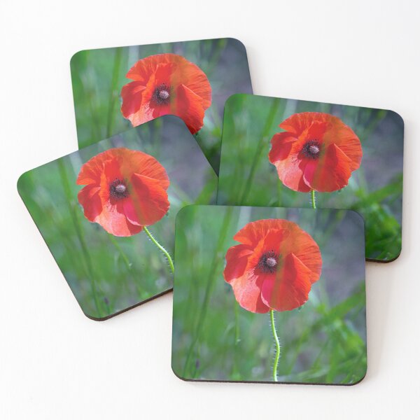 Item preview, Solitary Poppy designed and sold by Tom McPherson Photography.