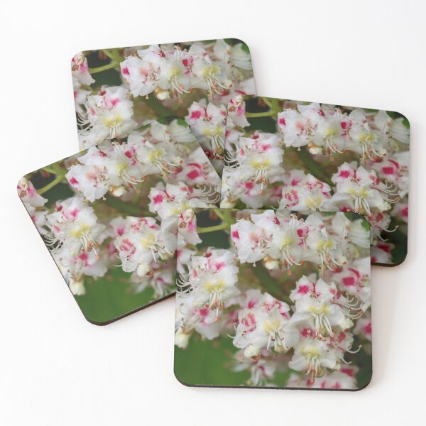 Item preview, Flowers designed and sold by Charlotte-3103.