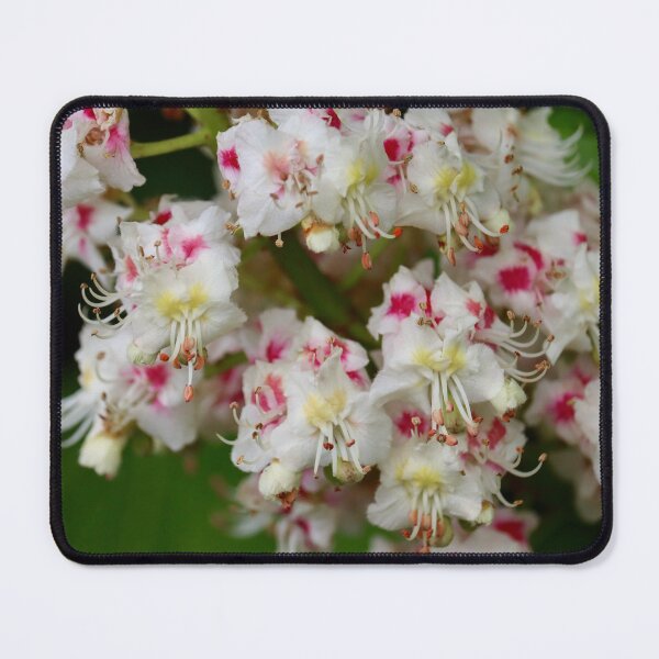 Item preview, Flowers designed and sold by Charlotte-3103.