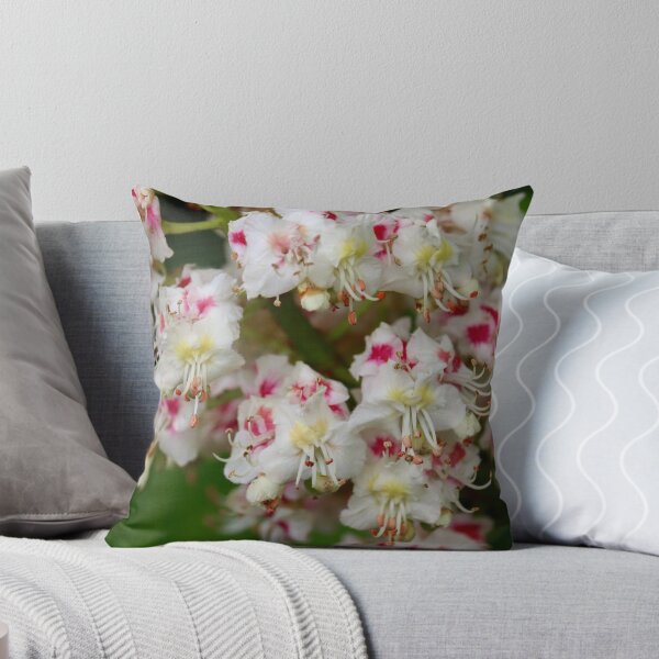 Item preview, Flowers designed and sold by Charlotte-3103.