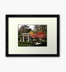 Autumn at Christchurch Gardens New Zealand Framed Print