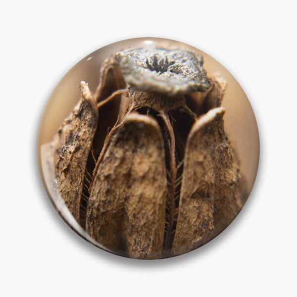 Item preview, Decayed Flower designed and sold by claireture.