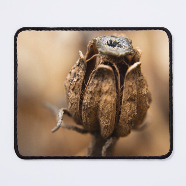 Item preview, Decayed Flower designed and sold by claireture.