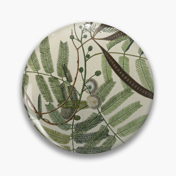 Item preview, Mimosa glauca designed and sold by Lloyd Library & Museum.
