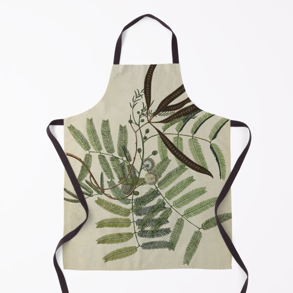 Item preview, Mimosa glauca designed and sold by Lloyd Library & Museum.