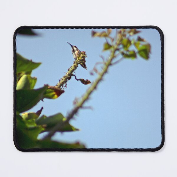 Item preview, Hummingbird designed and sold by claireture.