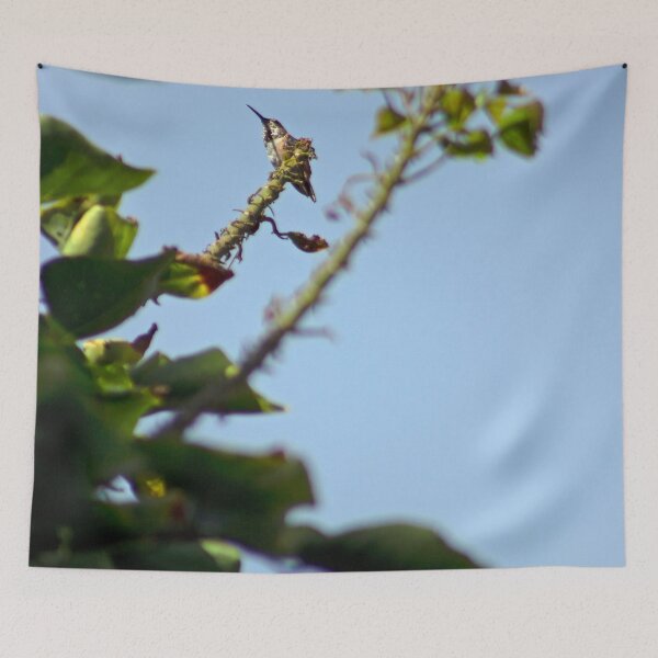 Item preview, Hummingbird designed and sold by claireture.