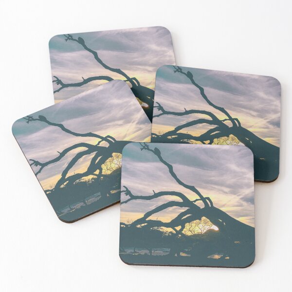 Item preview, Driftwood at Sunset designed and sold by abramichellemorris.