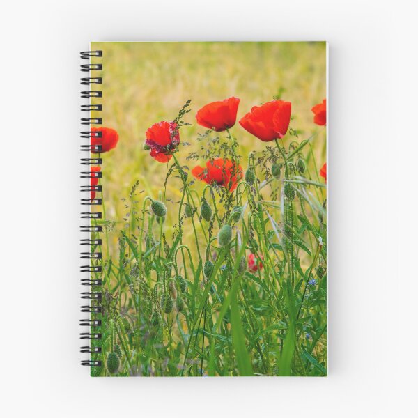 Artikelvorschau, Mohnblumen auf einem Feld entworfen und verkauft von angieblue-25.
