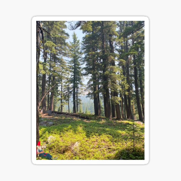 Item preview, gnome rests at crater lake national park designed and sold by clairegcrowley.