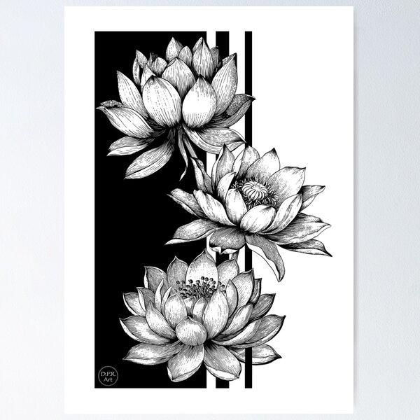 Modern Water Lilies Poster