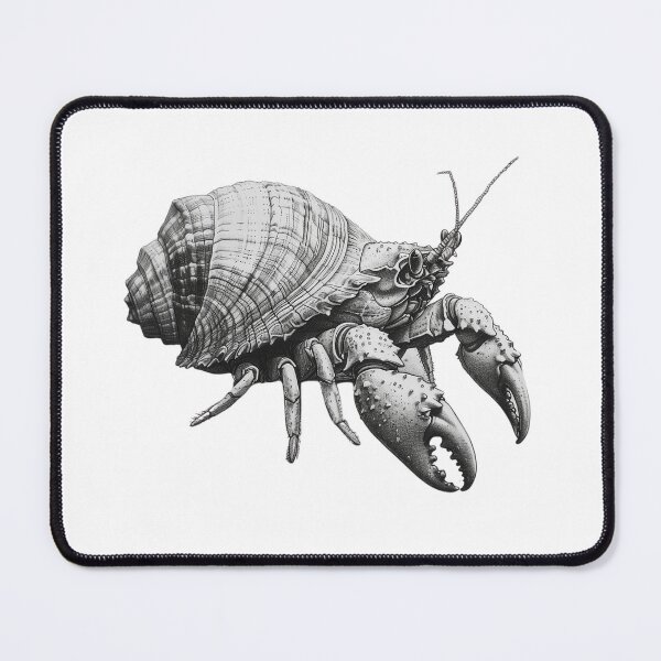 Item preview, Detailed Hermit Crab Drawing designed and sold by palmyst.