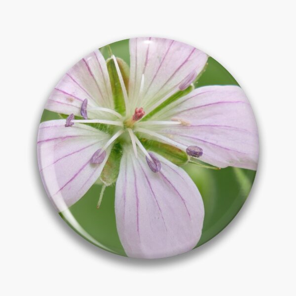 Item preview, Light pink. Wood cranesbill designed and sold by Jouko Lehto Photography.