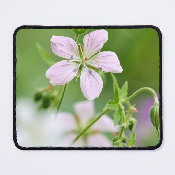 Item preview, Light pink. Wood cranesbill designed and sold by Jouko Lehto Photography.