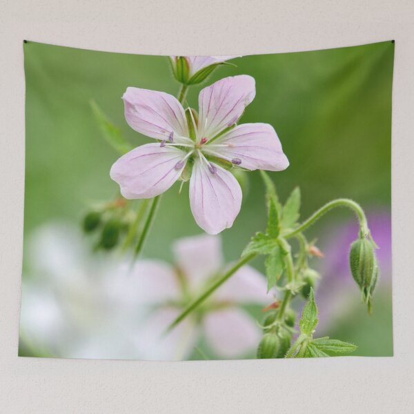 Item preview, Light pink. Wood cranesbill designed and sold by Jouko Lehto Photography.