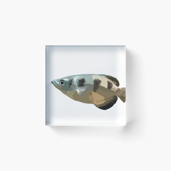 Item preview, Banded Archerfish designed and sold by ChrisBManos.