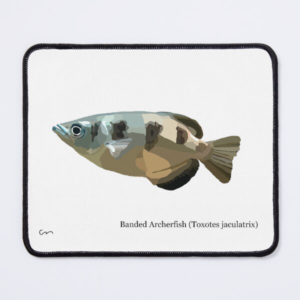 Item preview, Banded Archerfish designed and sold by ChrisBManos.