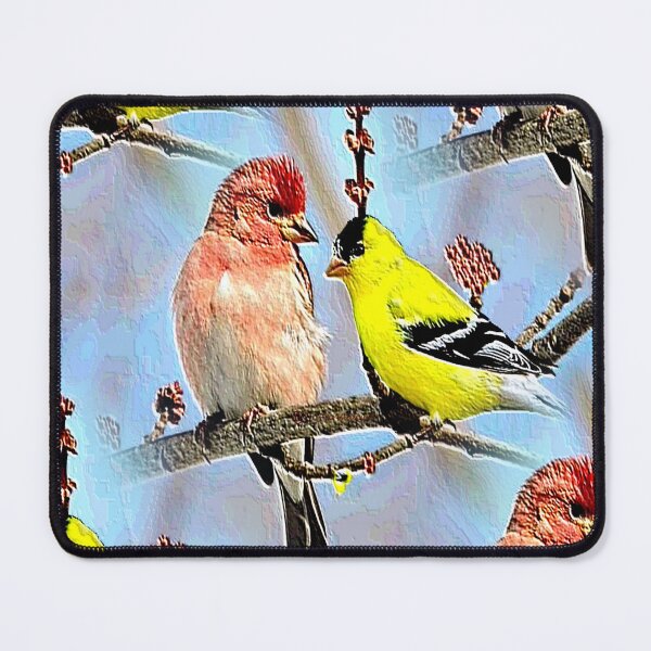 Item preview, Two Finches on a Tree Branch designed and sold by kristalcurt.