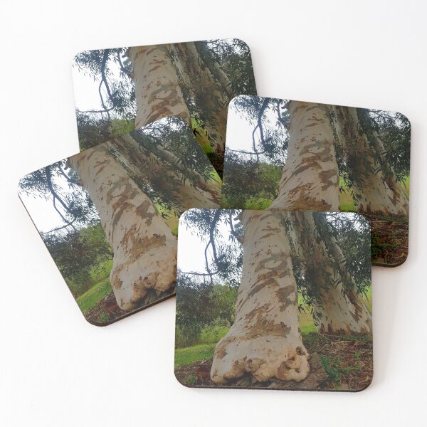 Item preview, Trees growing against each other designed and sold by Blissfully-MK.