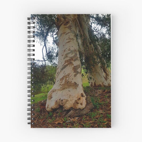 Item preview, Trees growing against each other designed and sold by Blissfully-MK.