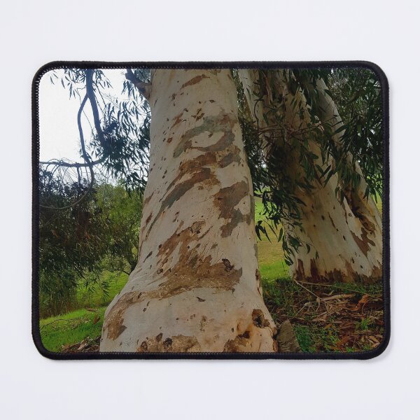 Item preview, Trees growing against each other designed and sold by Blissfully-MK.