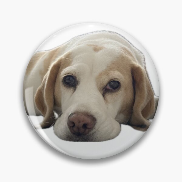 Item preview, Beagle designed and sold by CoolYule.