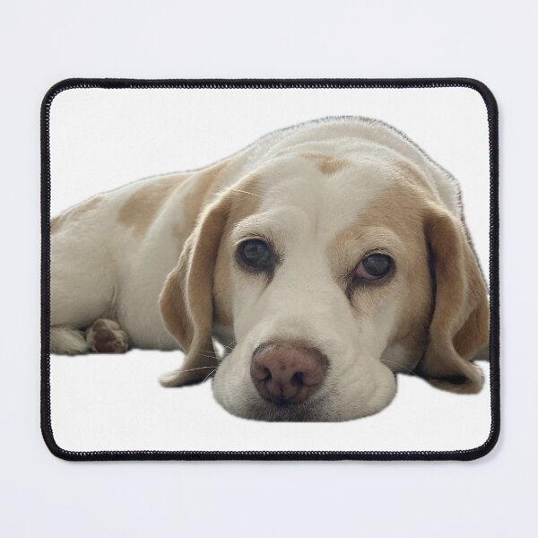 Item preview, Beagle designed and sold by CoolYule.