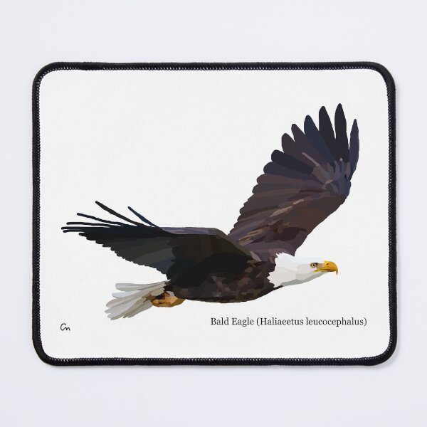 Item preview, Bald Eagle designed and sold by ChrisBManos.