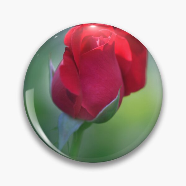 Item preview, Red rose on nature background designed and sold by olena2552.